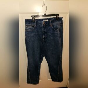 Good American Blue Denim Jeans - Size 15/33